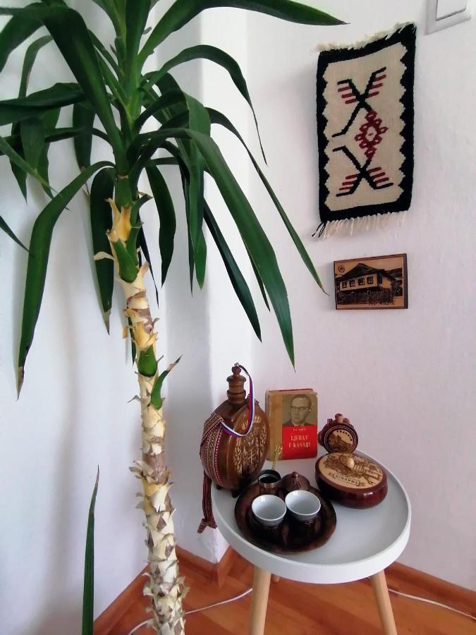 Apartment Danijel Višegrad Extérieur photo